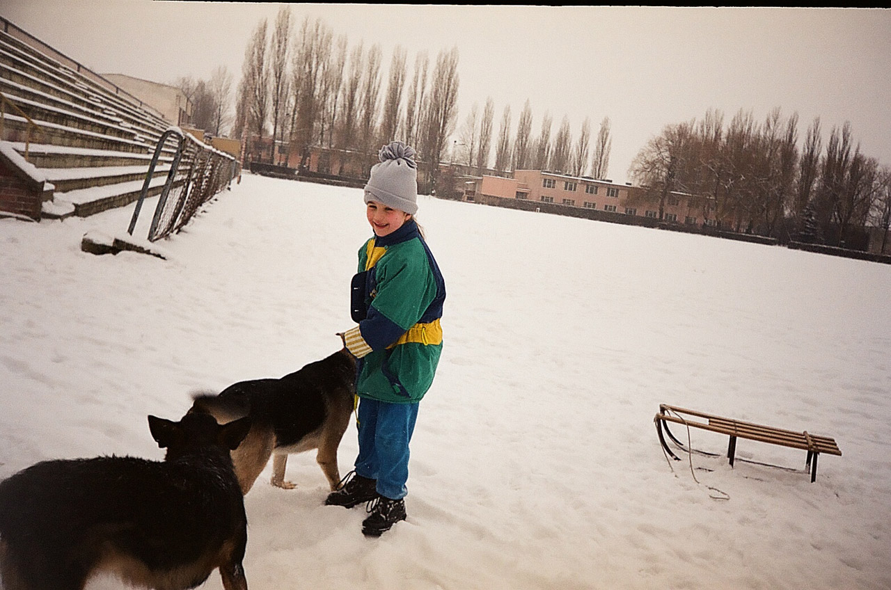 fun girl with dogs free pictures free photo