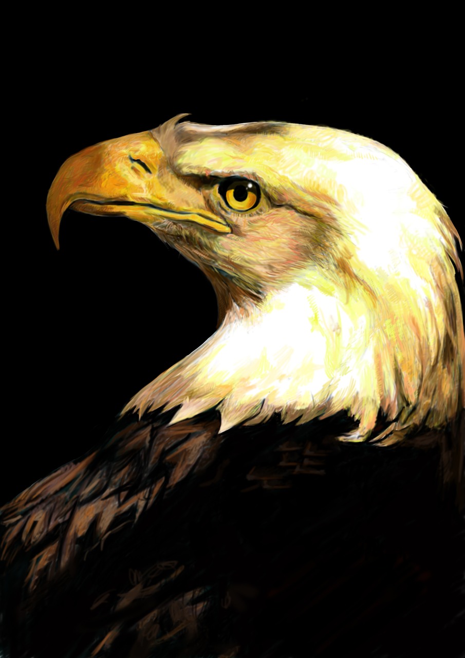 eagle plate-painted sharp free photo