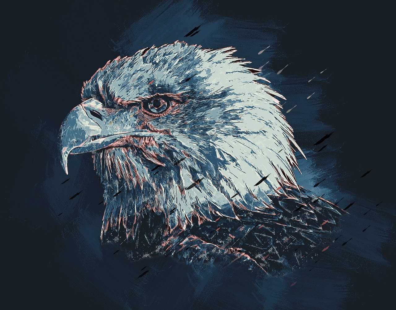 eagle colorful colorful sketch free photo