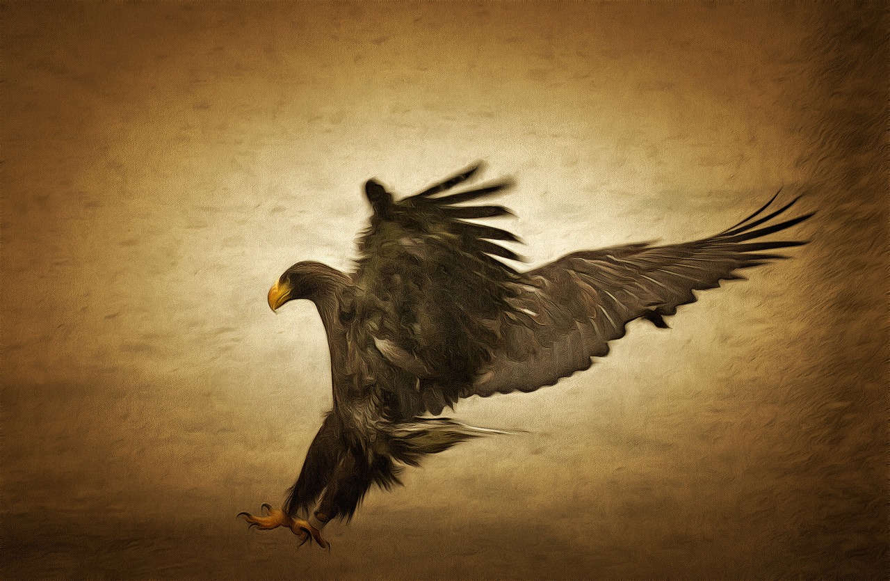 eagle hunting raids free photo