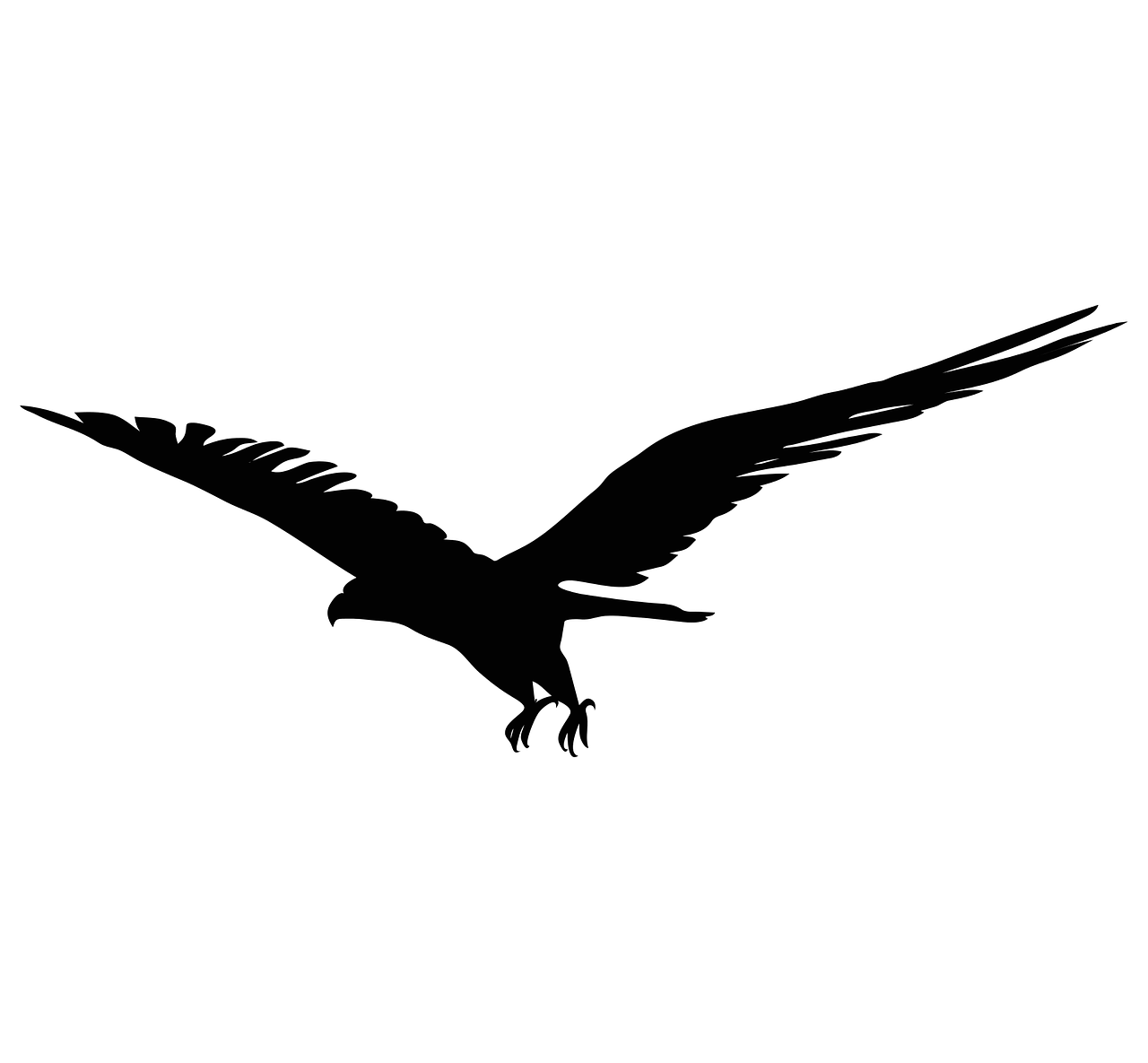 eagle bird symbol free photo