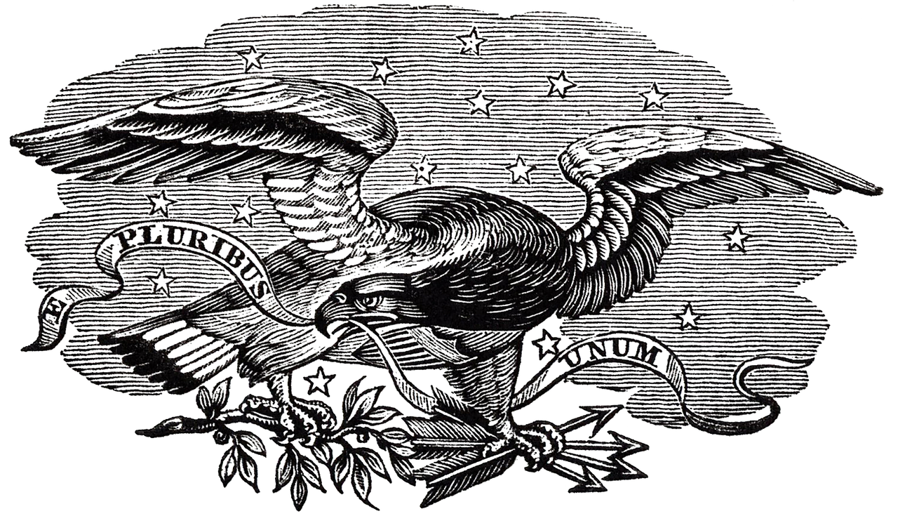 eagle black decorative free photo