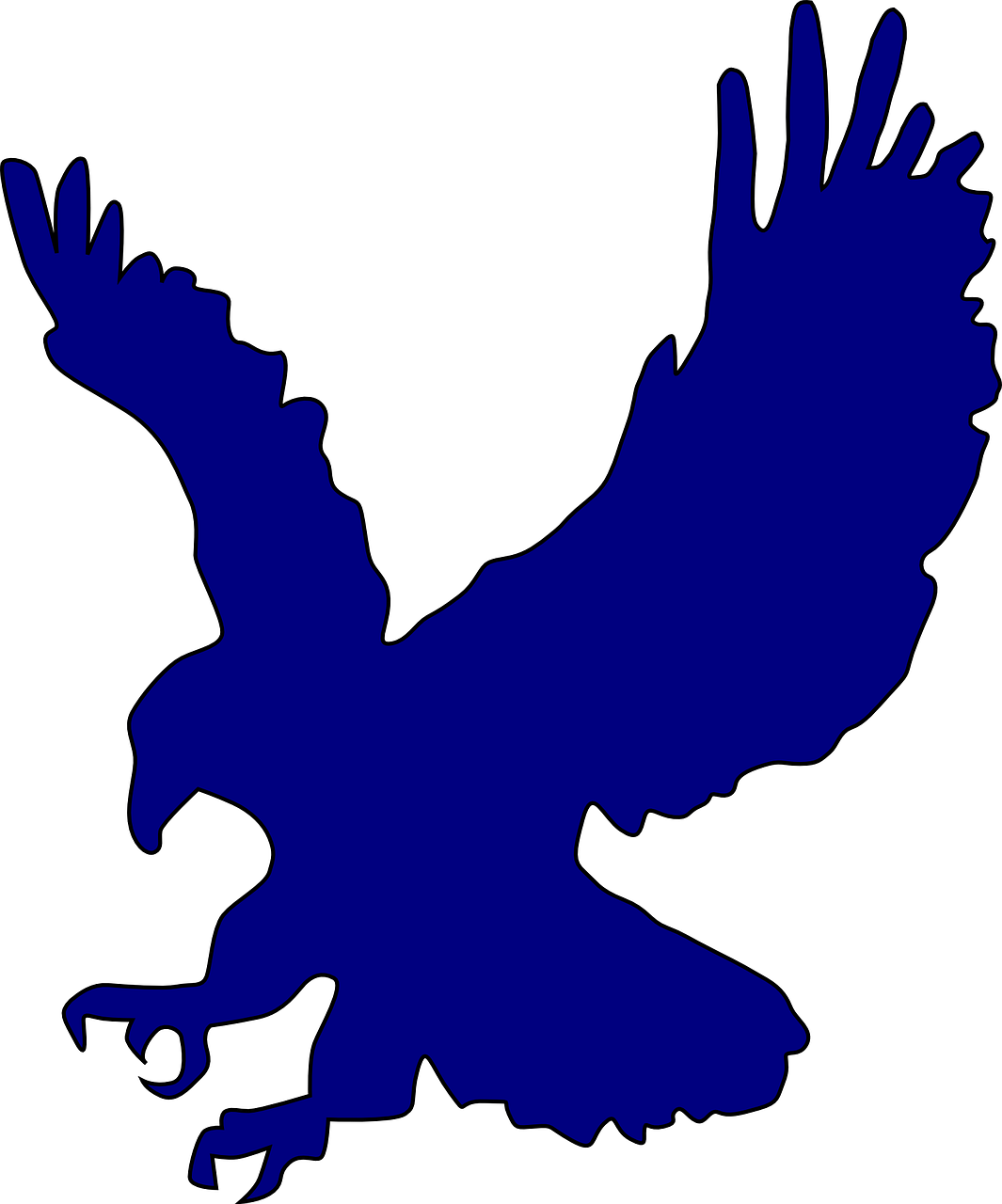 eagle blue america free photo
