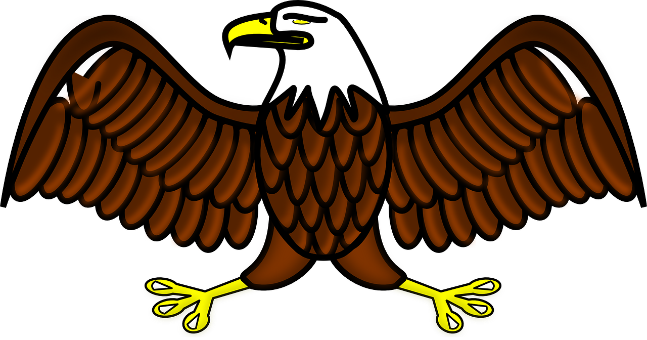 eagle bird symbol free photo