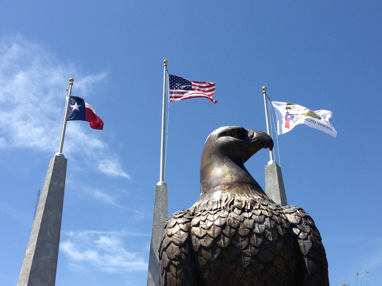 eagle texas flags free photo