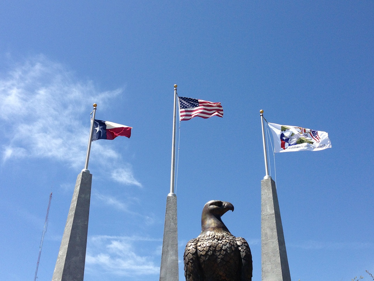 eagle flags texas free photo