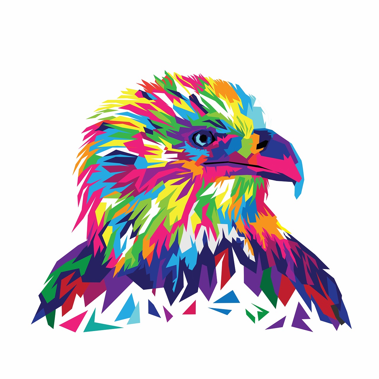 eagle  eagle vector  vector illustration free photo