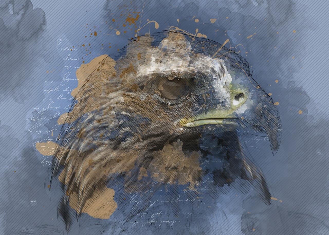 eagle  raptor  bird of prey free photo