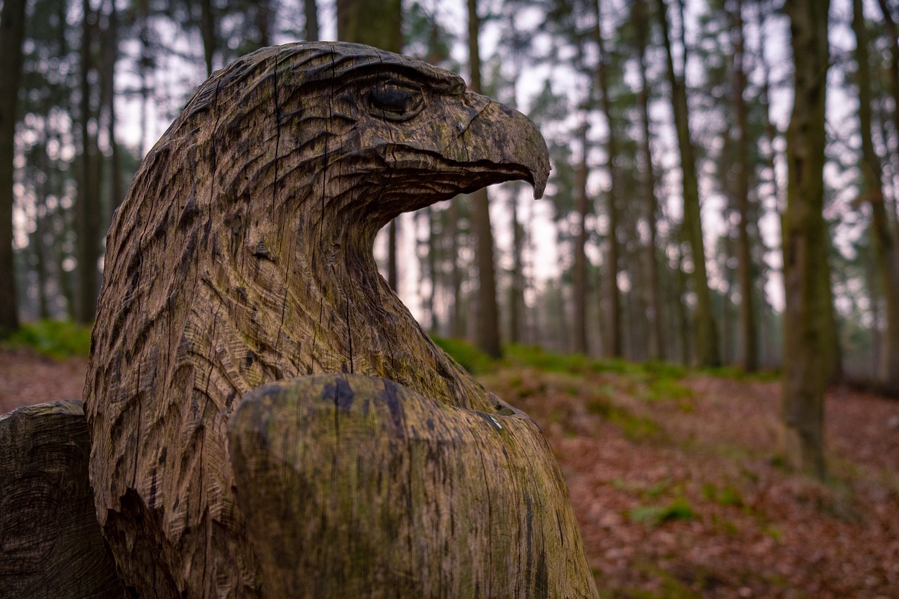 eagle  sculpture  scotland free photo