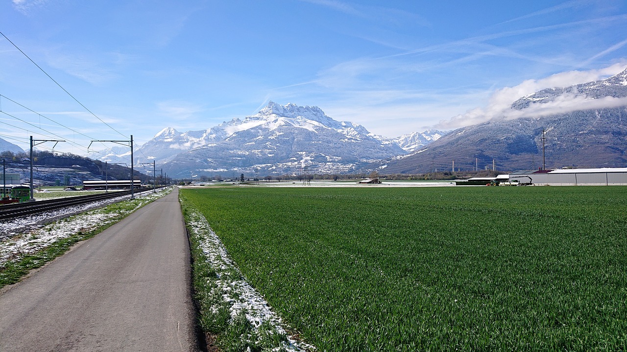 eagle  snow  mountain free photo