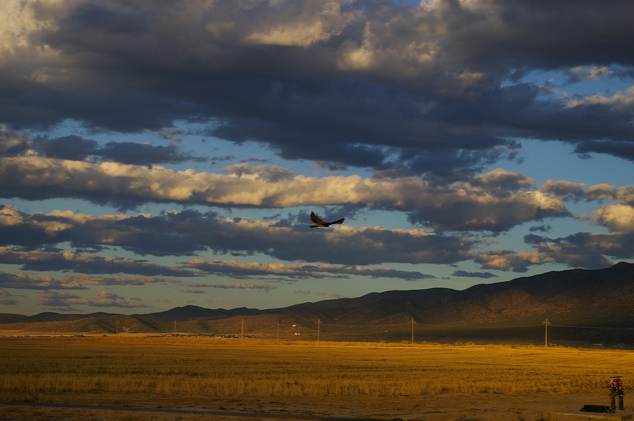 eagle fields rural free photo