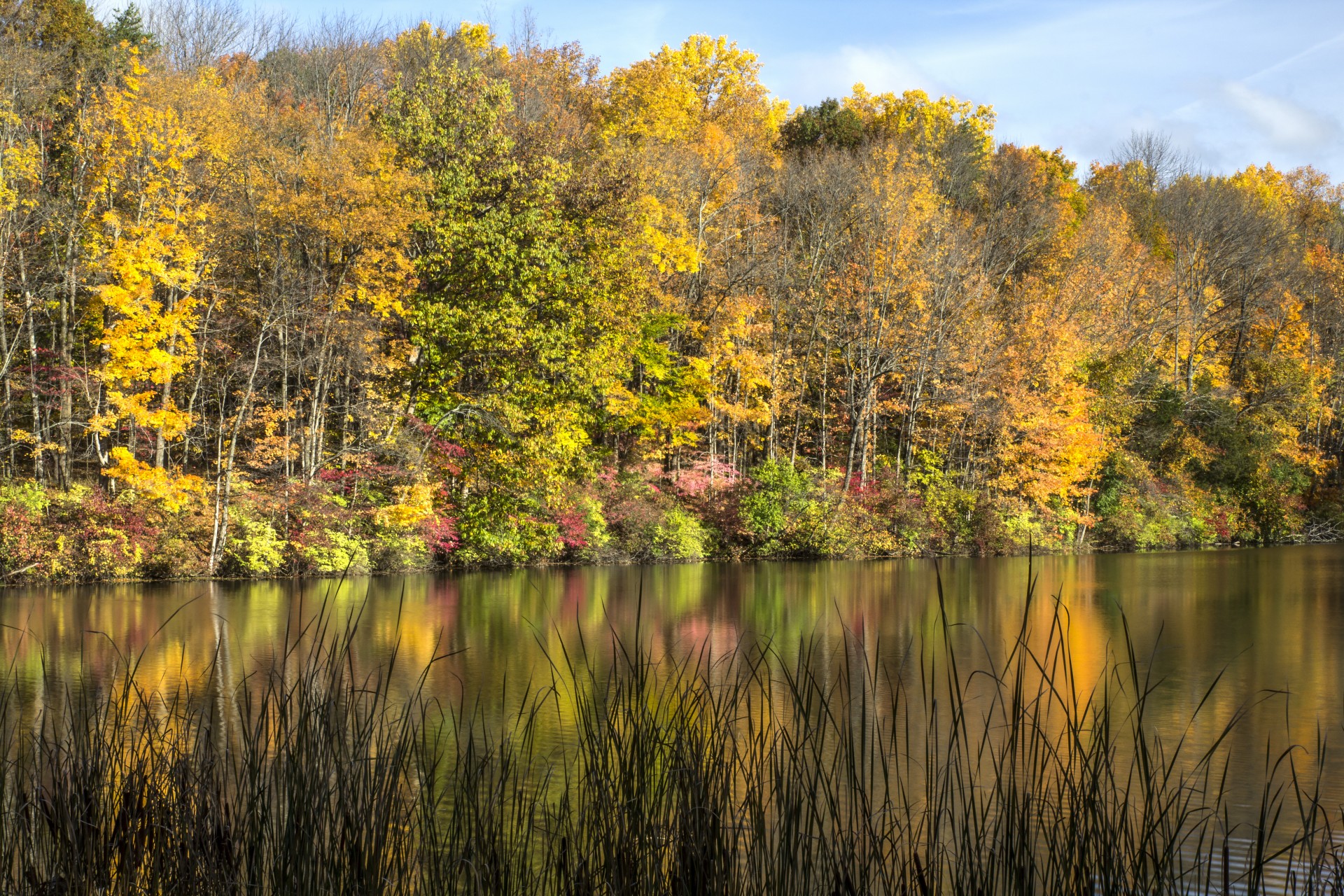 autumn lake trees free photo