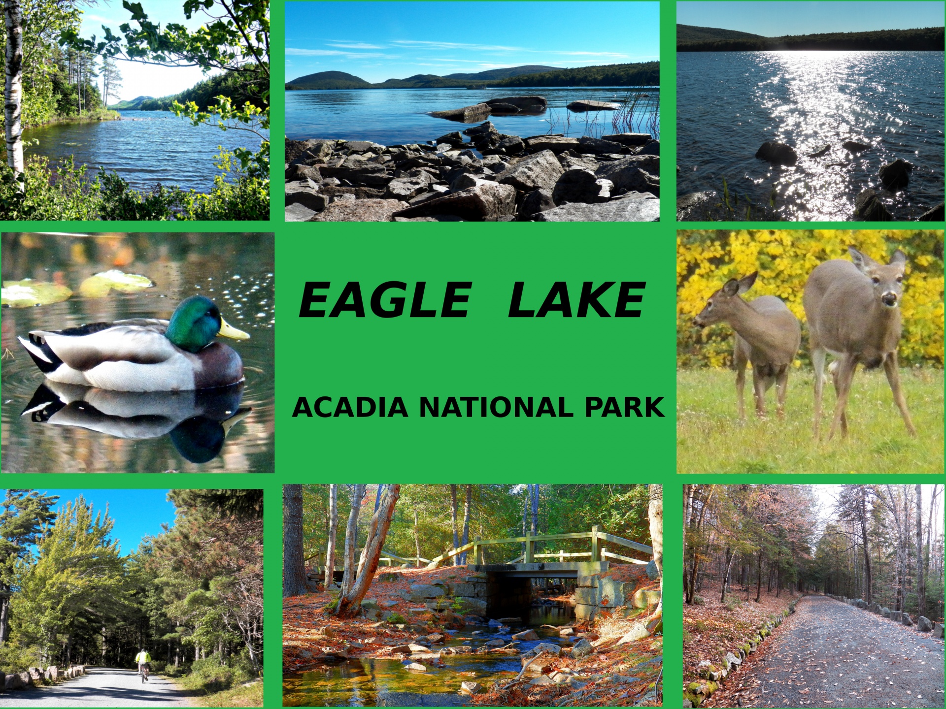 eagle lake lakes ponds free photo
