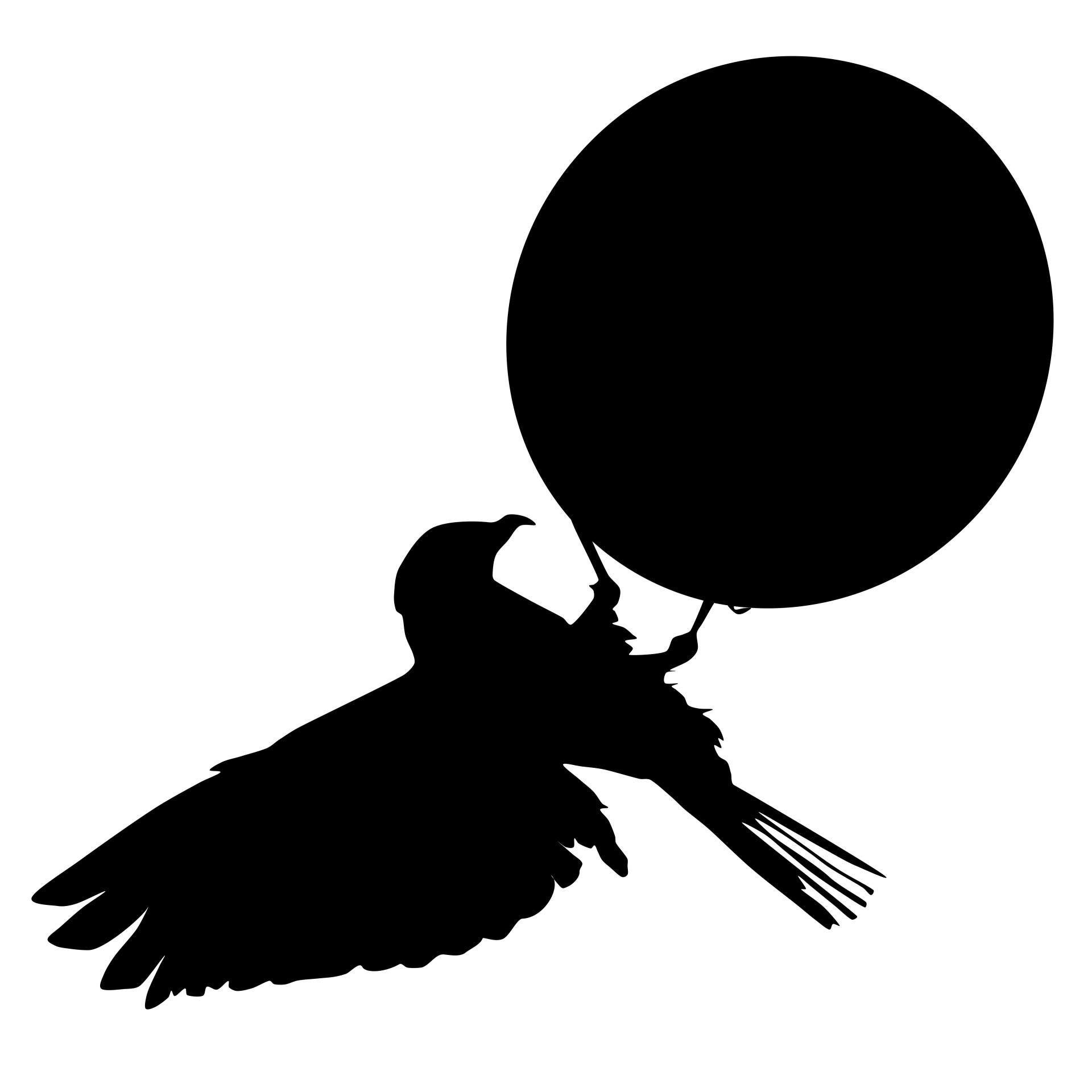 silhouette eagle ball free photo