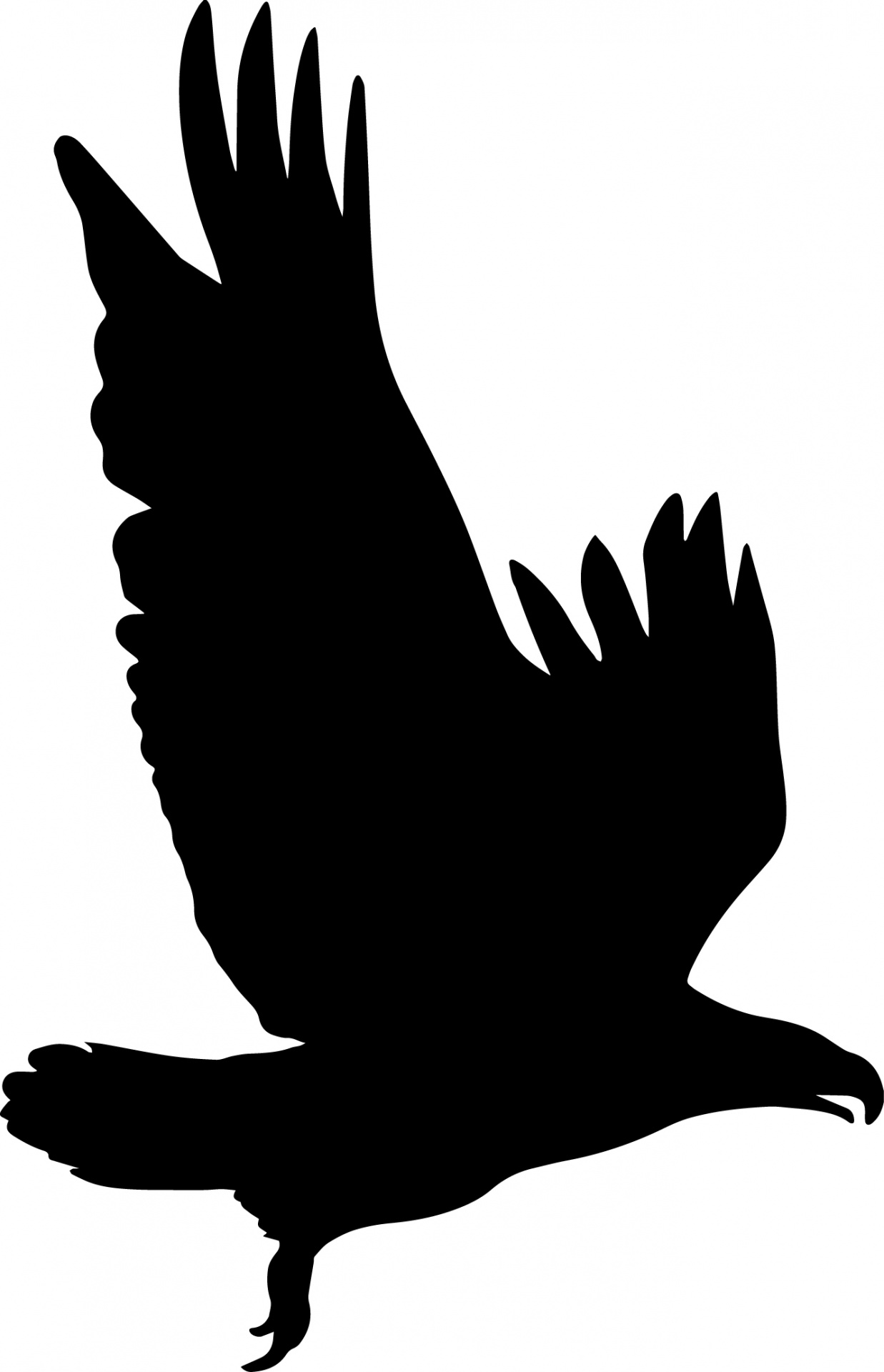 eagle eagle silhouette silhouette free photo