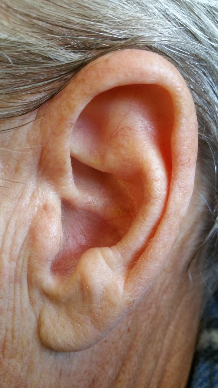 ear body human free photo