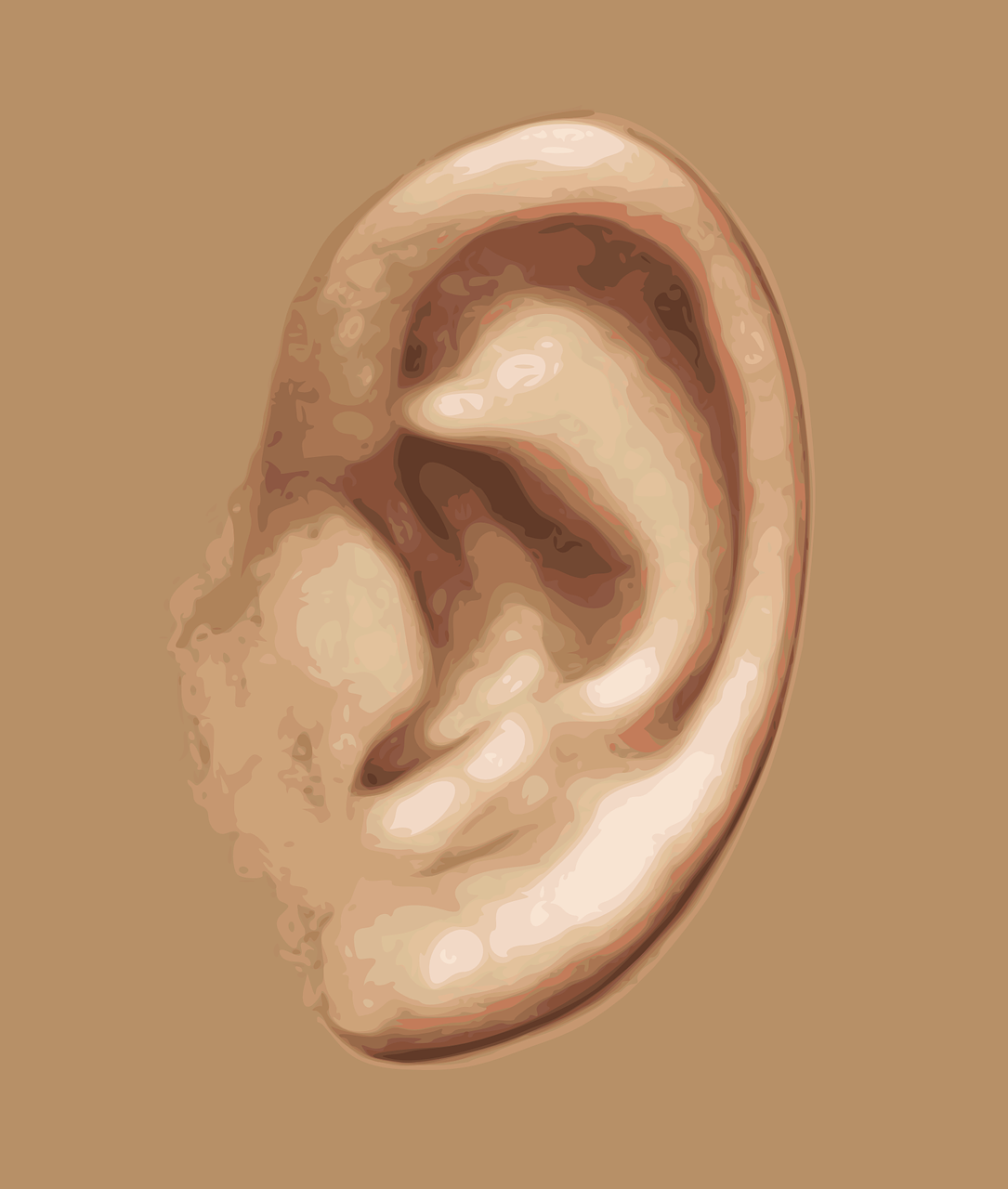 ear hearing listening free photo