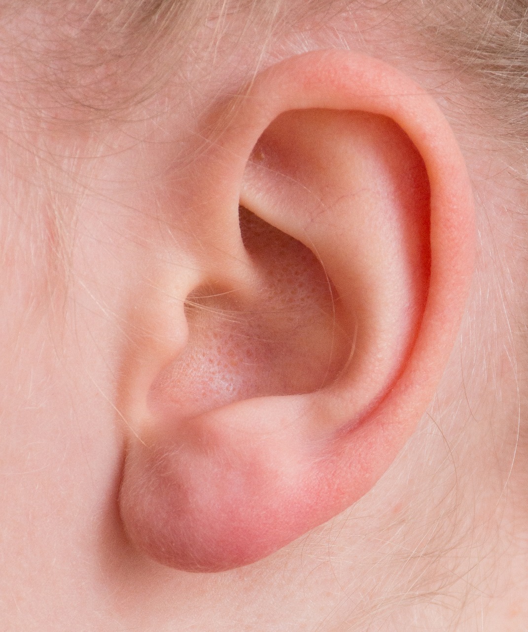 ear auricle listen free photo