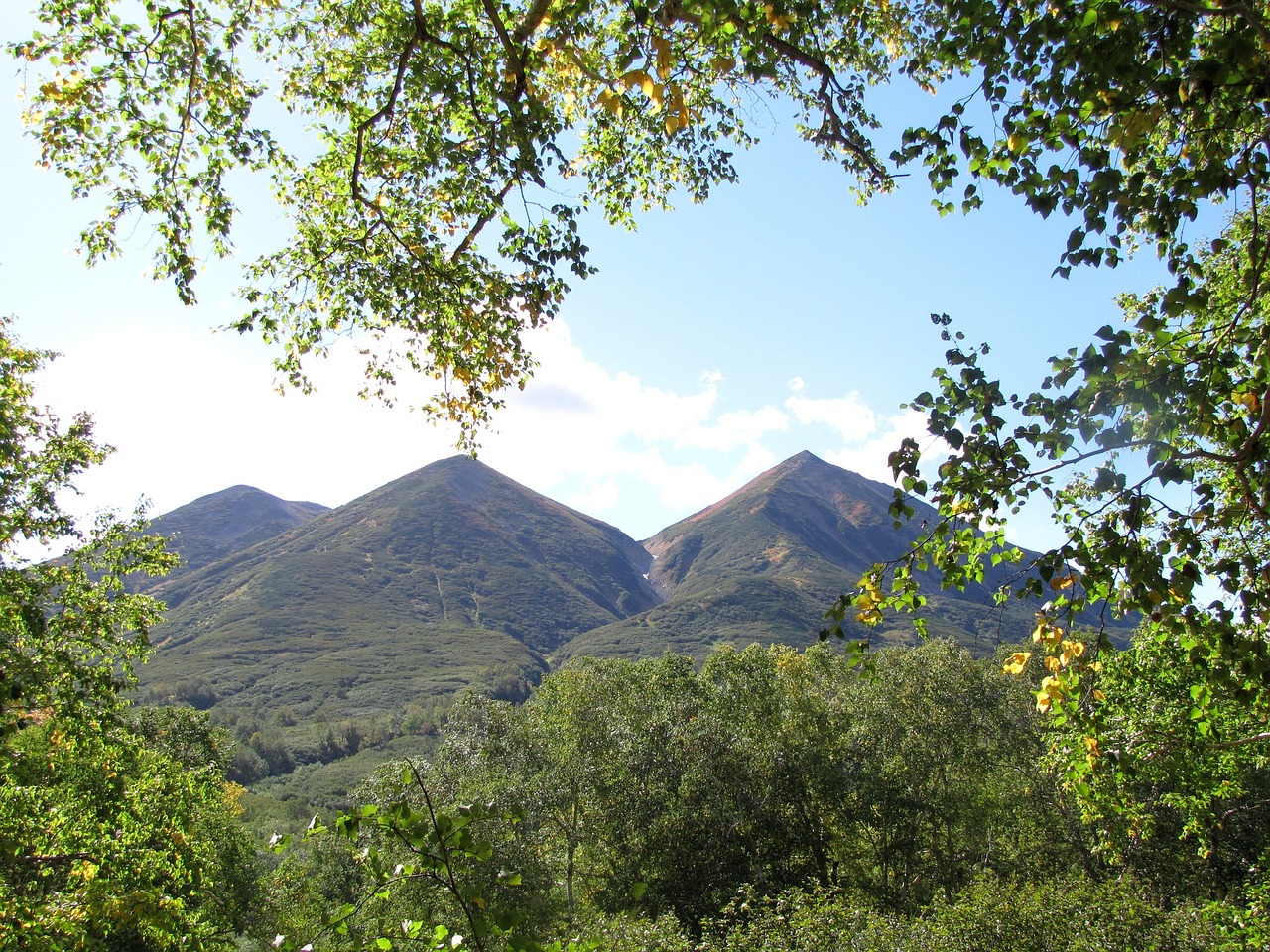 early autumn mountains forest free photo