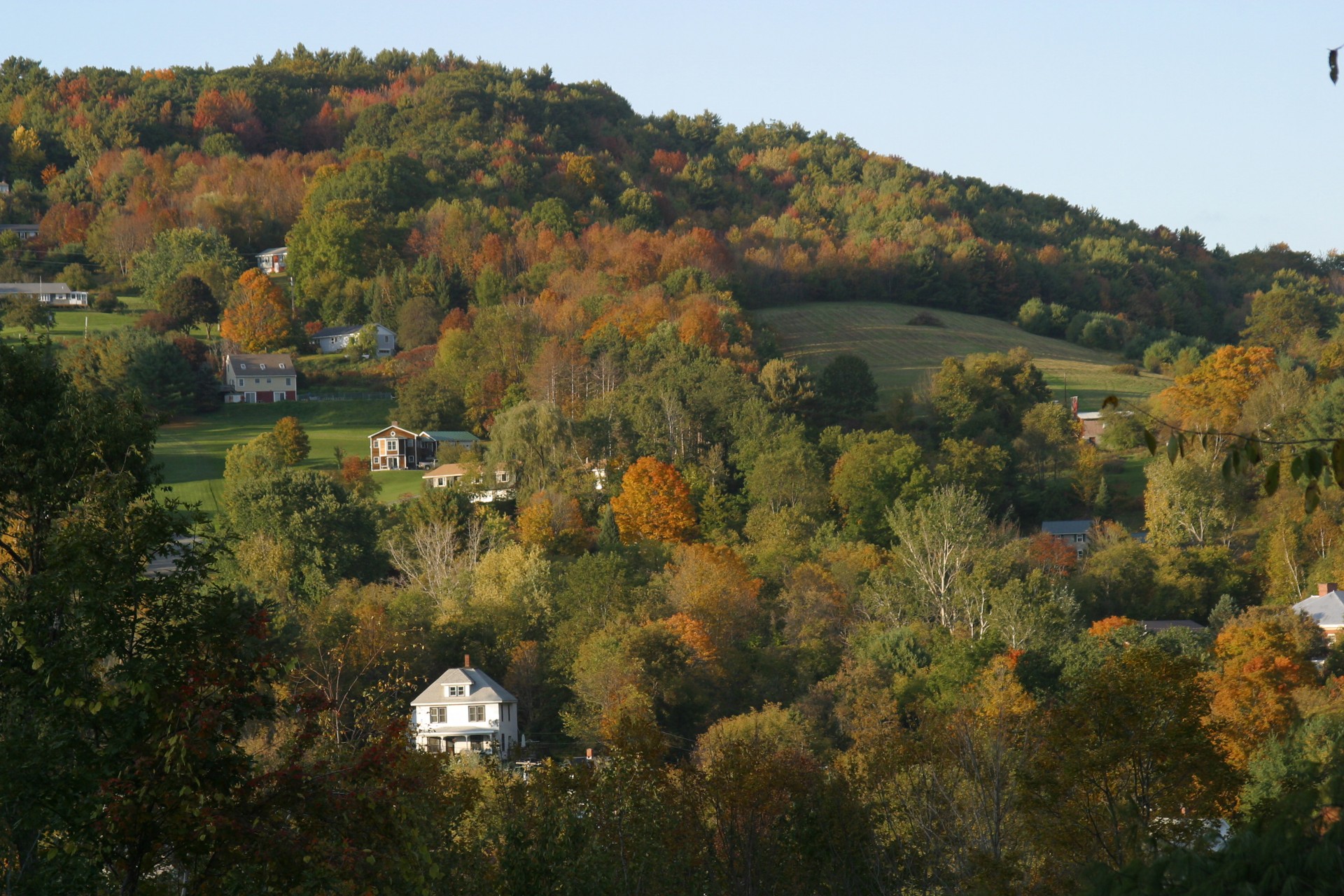 hill hillside autumn free photo