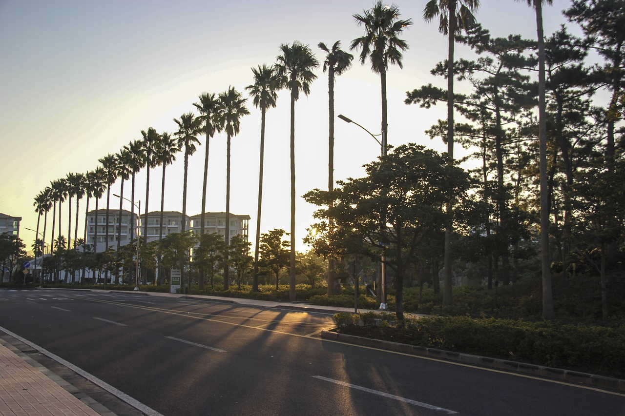 early in the morning sunshine sunny days free photo