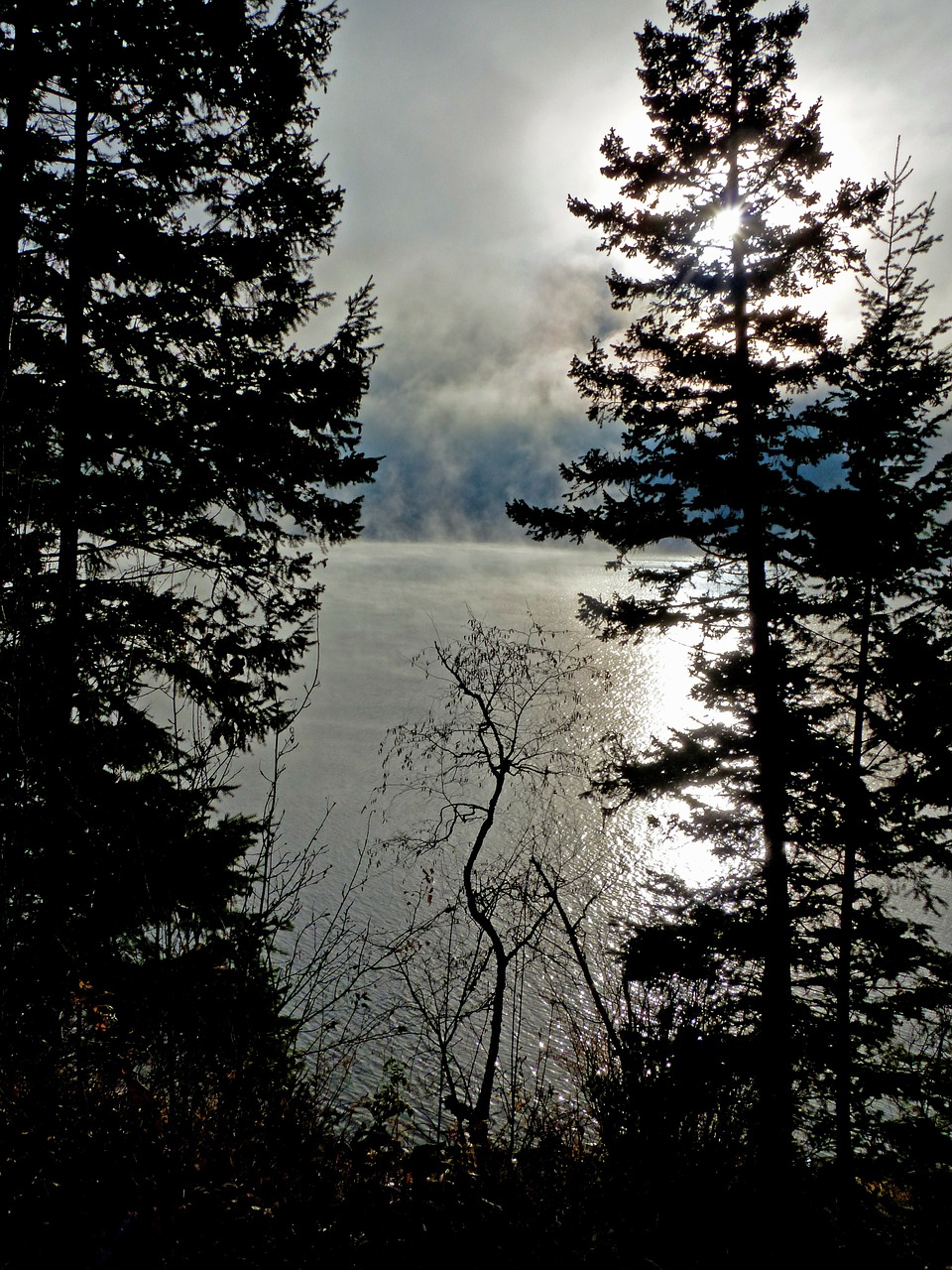 early morning sunrise clouds free photo