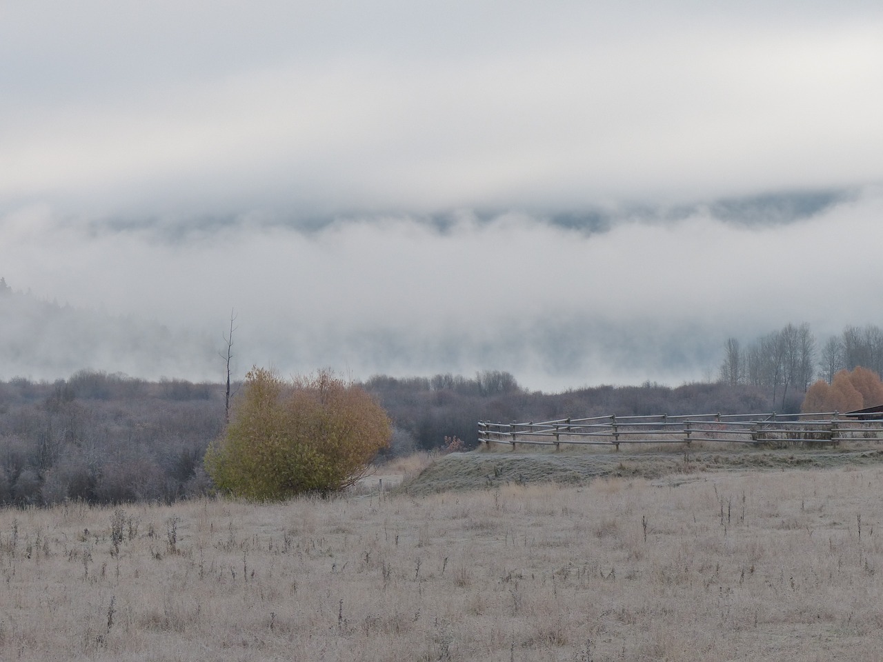 early morning sunrise clouds free photo