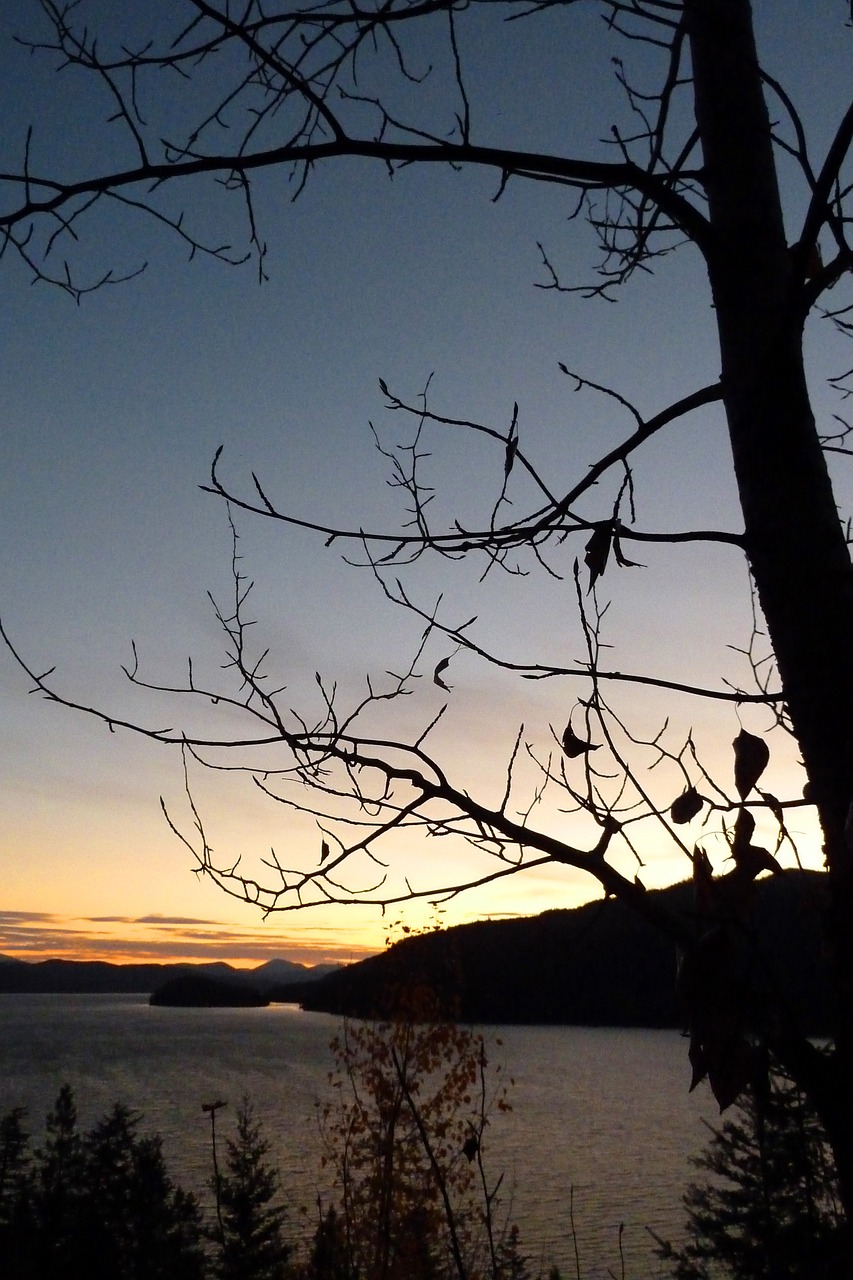 early morning canim lake british columbia free photo