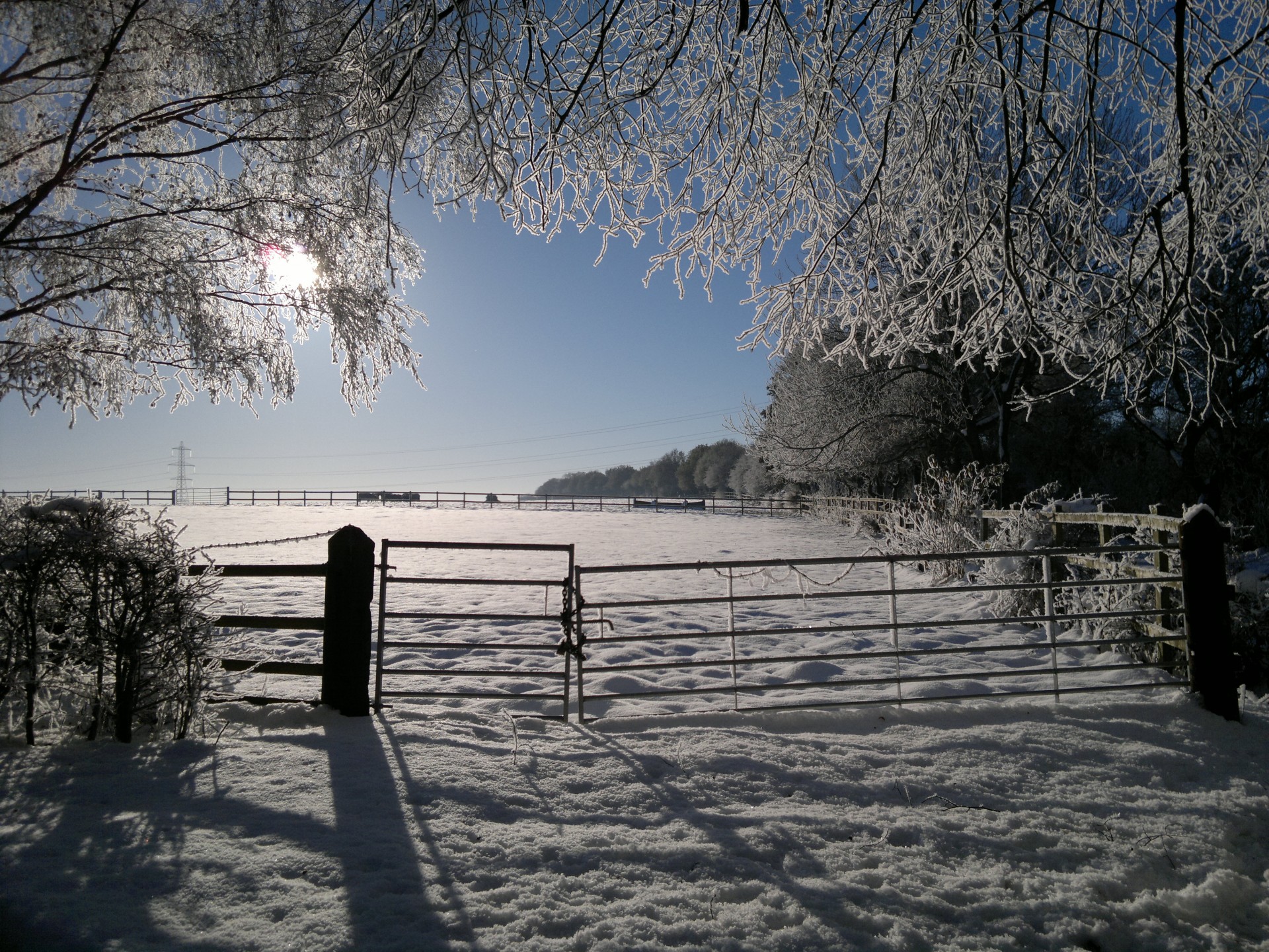 snow morning scenery free photo