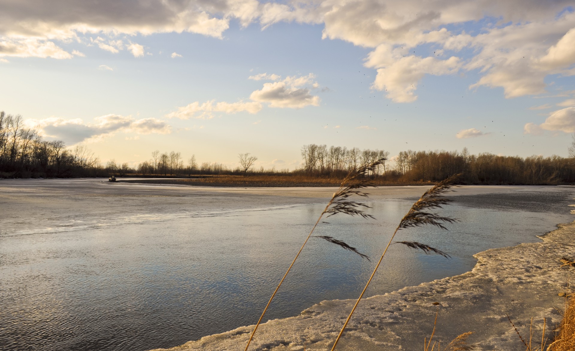 spring river thaw free photo