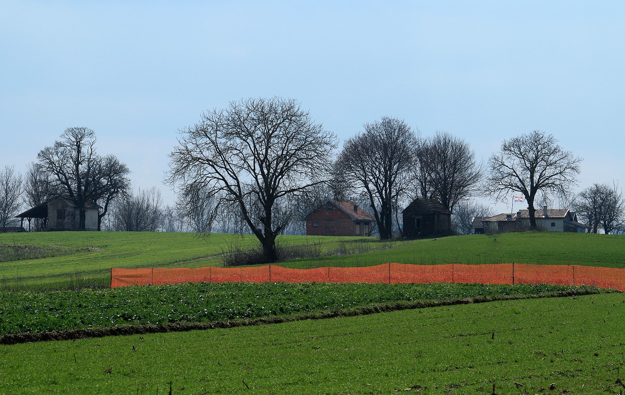 early spring panoramic field free photo