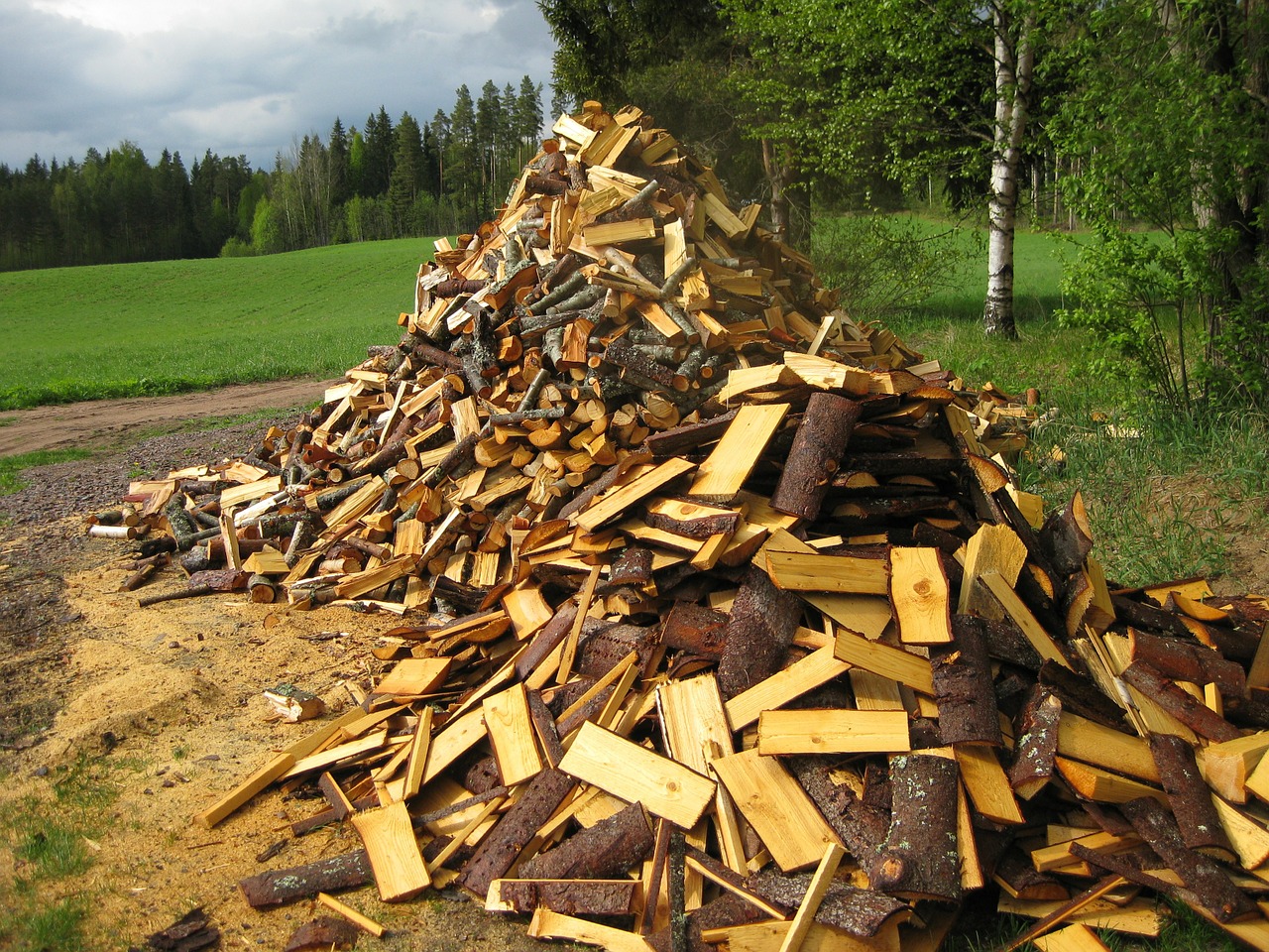 early summer firewood woodpile free photo