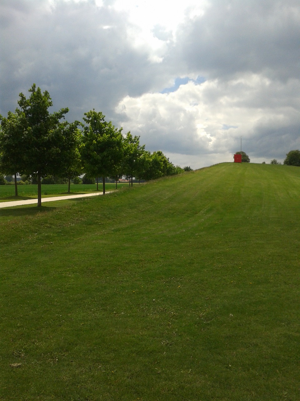 early summer park trees free photo