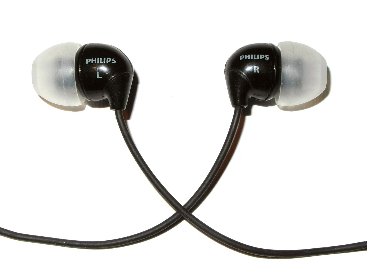 earplugs headphones in-ear headphones free photo