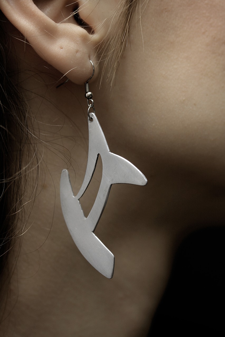 earrings  jewelry  daniel free photo