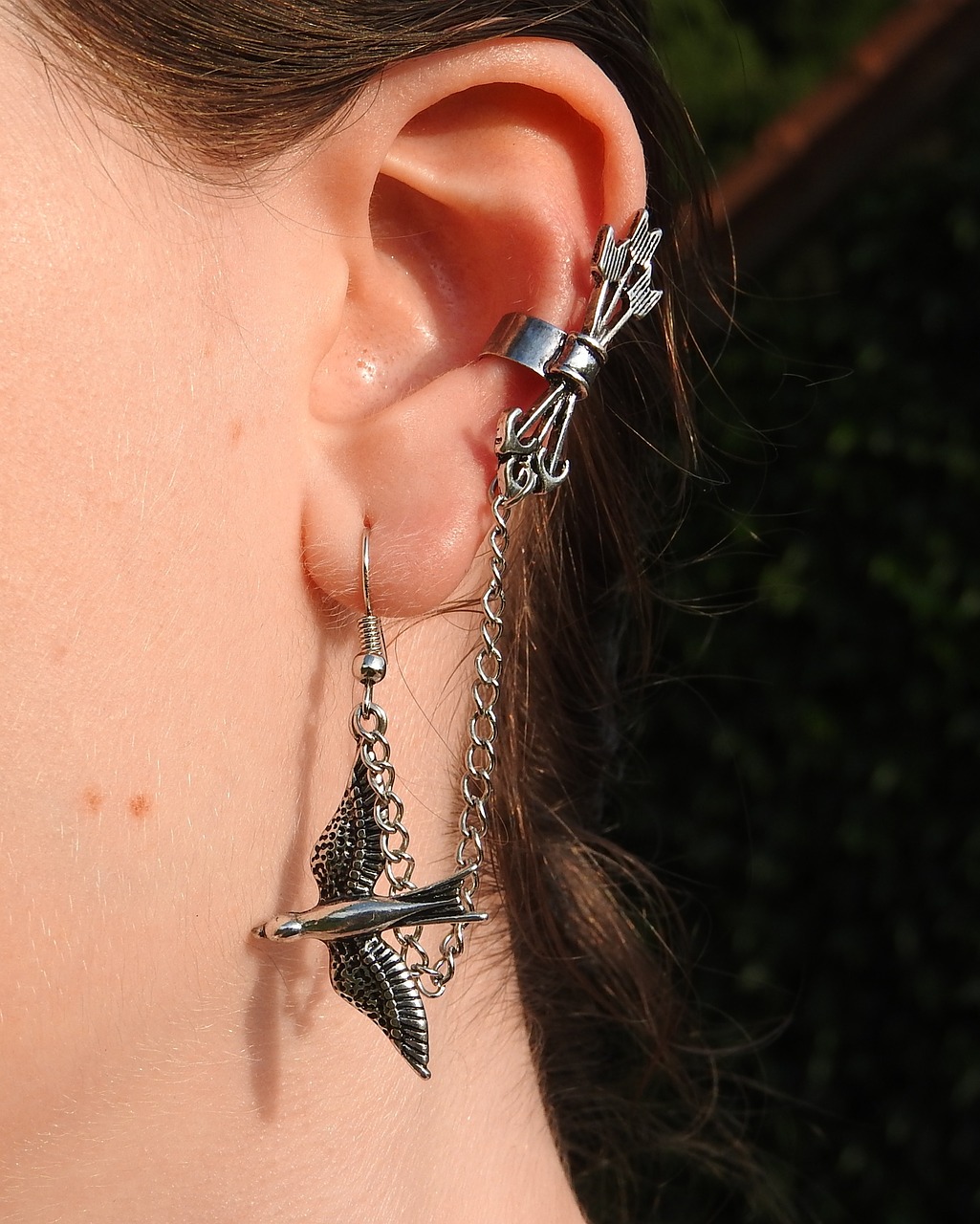 earrings jewel silver free photo