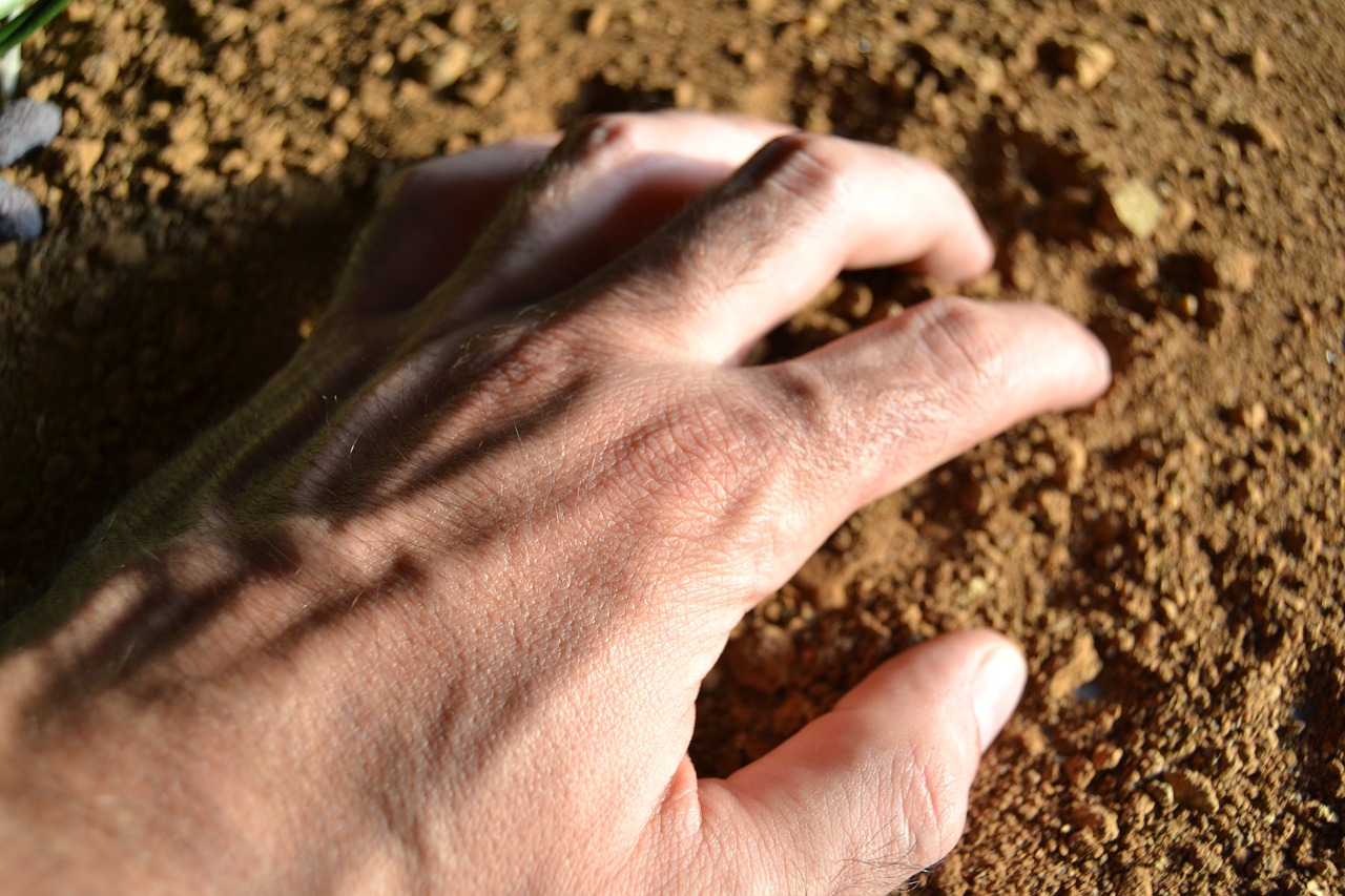 earth farmer work free photo