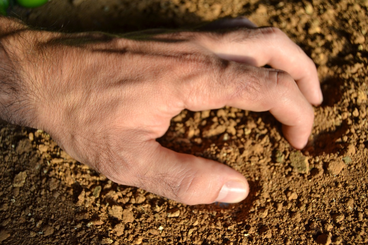 earth farmer work free photo