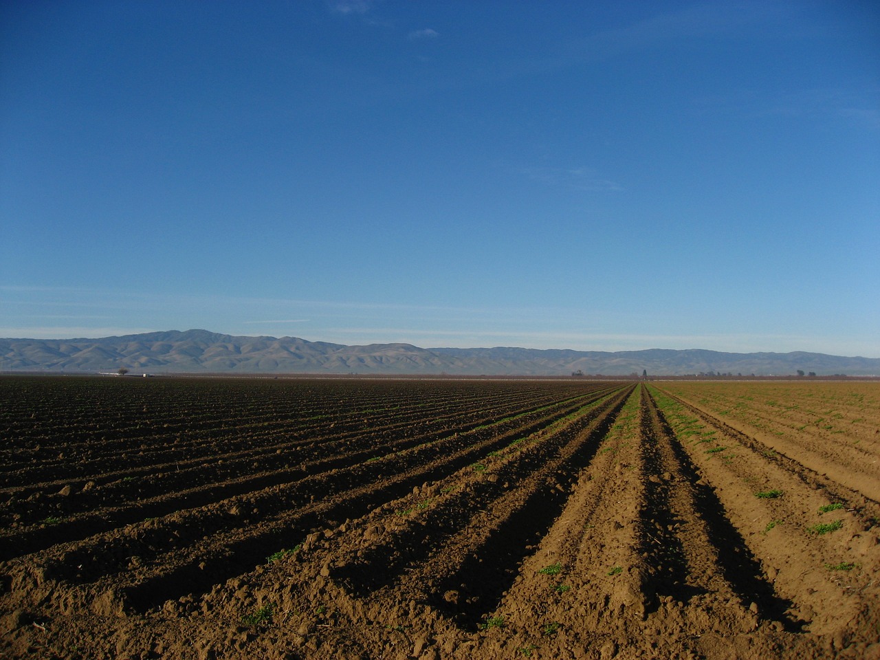 earth farm ridge free photo