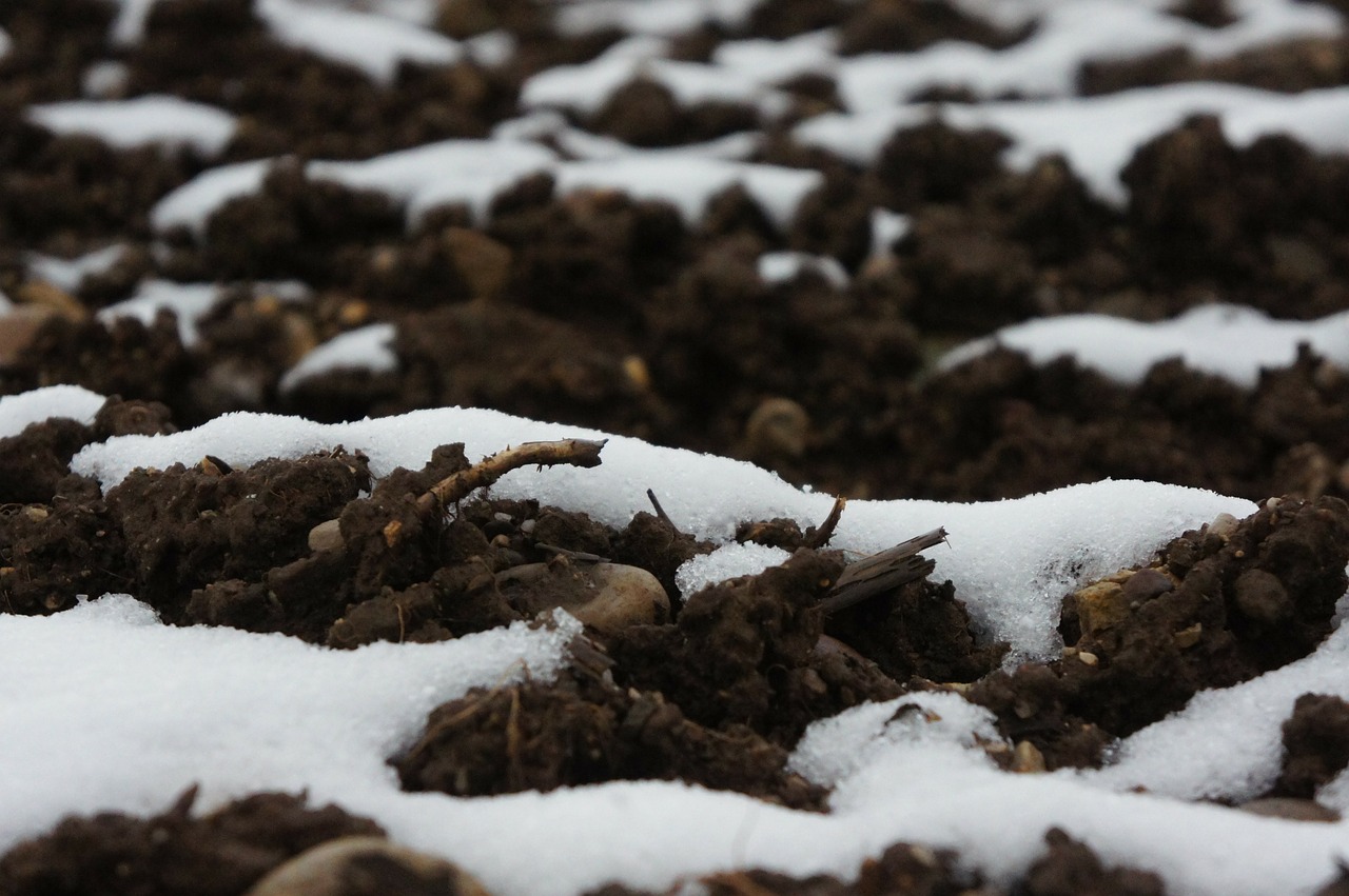 earth snow brown free photo