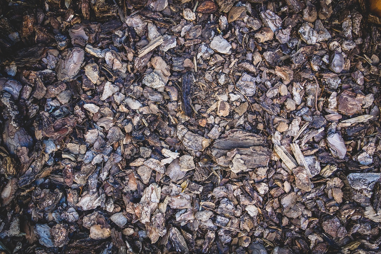 earth  dirt  bark mulch free photo