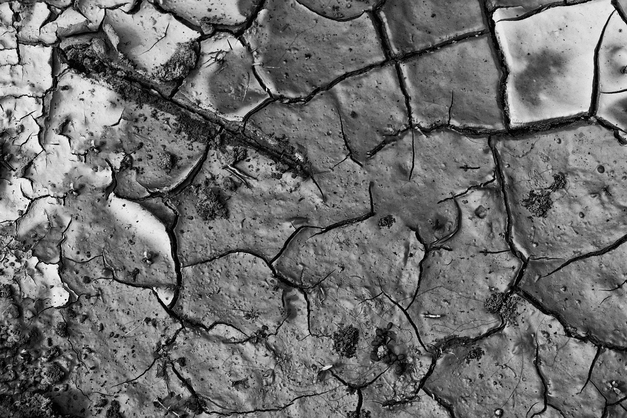 earth  dry  drought free photo