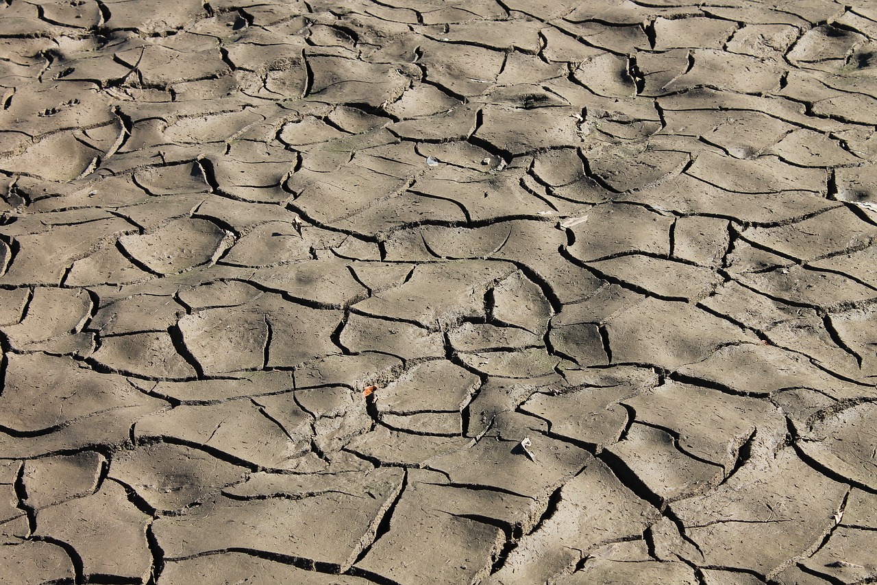 earth  drought  dry free photo