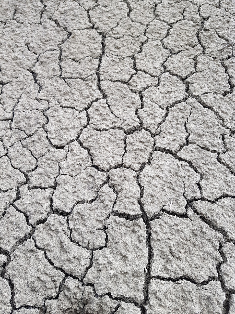 earth  drought  desert free photo
