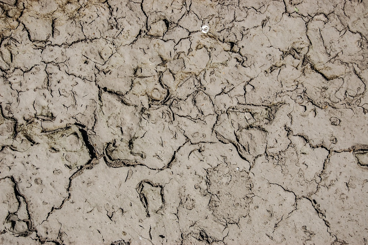 earth texture the background free photo
