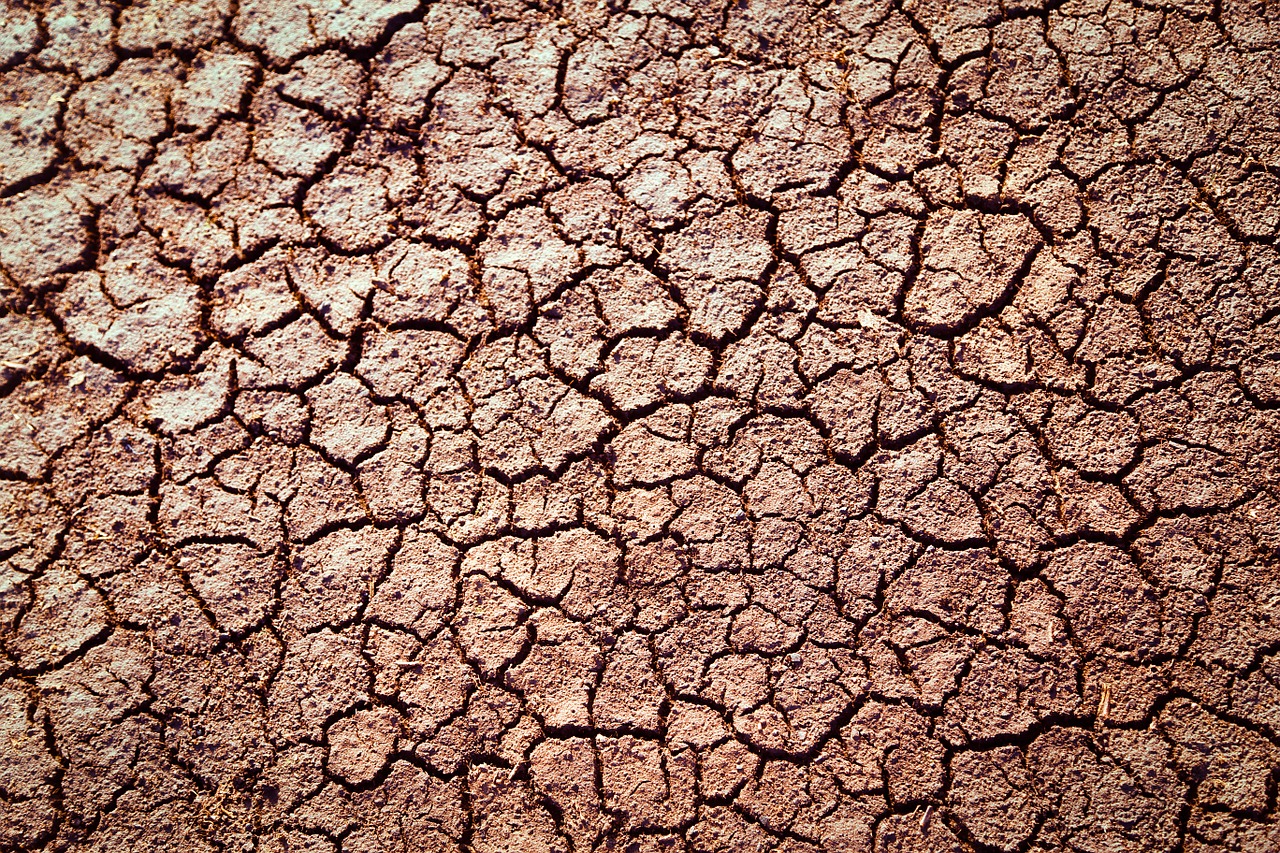 earth cracked dry free photo
