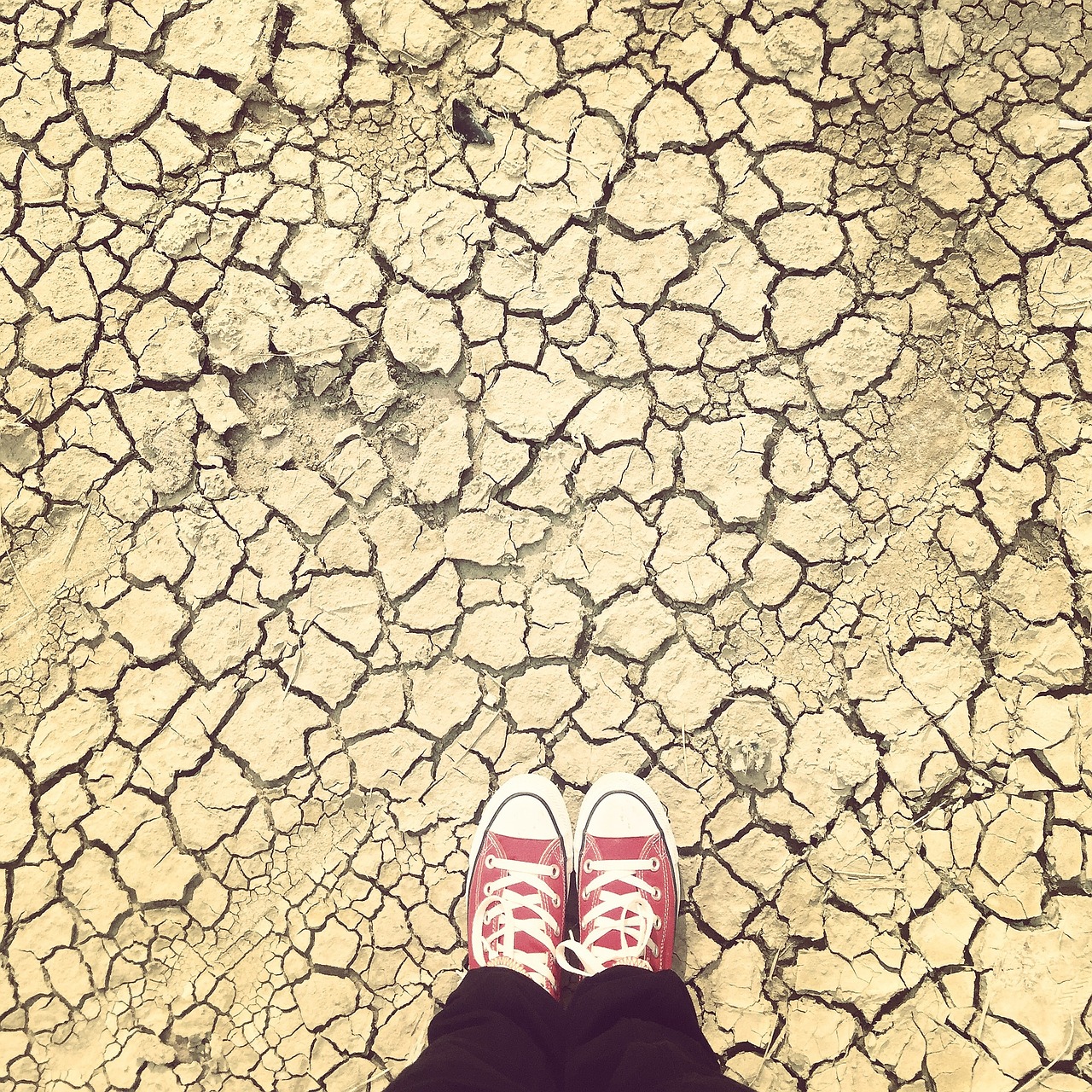 earth drought the ground cracked free photo