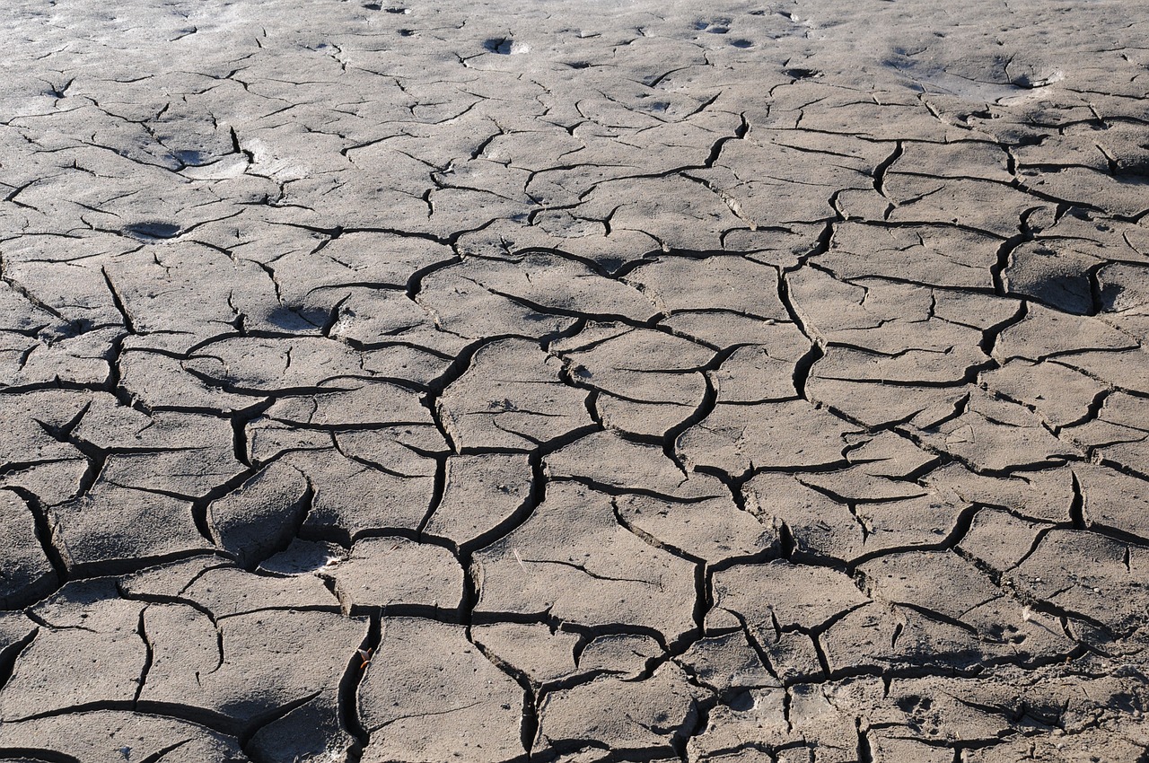 earth drought cracked free photo