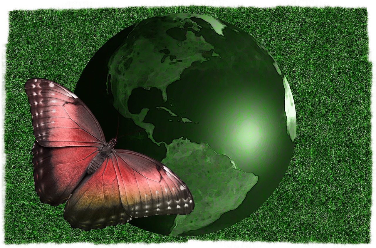earth globe butterfly free photo