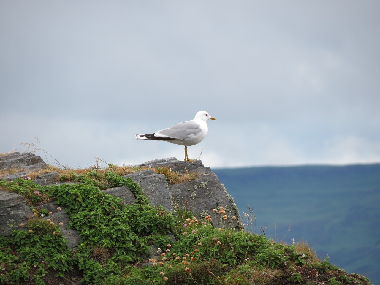 easdale scotland holiday free photo